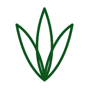 99.8% WHOLE LEAF NO WATER ADDED